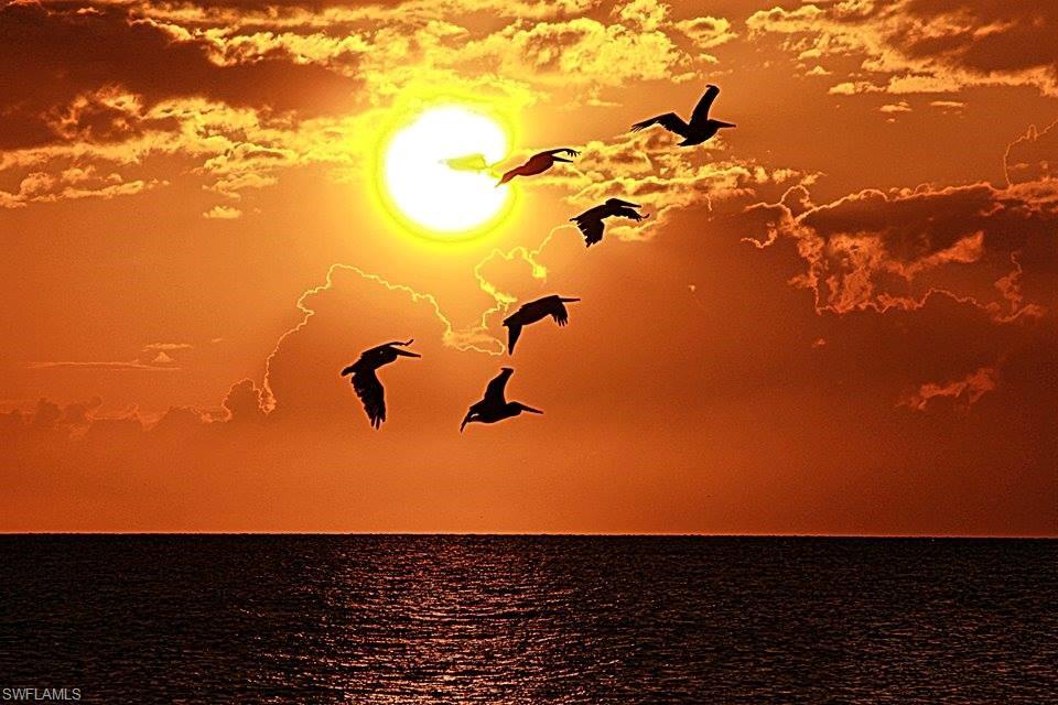 BOARDWALK CAPER - Residential