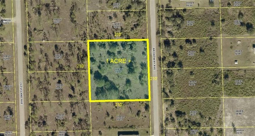 100 Percent Seller Financing Available! Really Nice & Quite Rare One-Acre Premium Homesite on a very short dead end street with exceptionally nice single family homes. It's high & dry 210' x 210' (43,560 Sq. Ft.) in a quiet area of LEHIGH ACRES. This Property features highly desirable Western views at the rear of the homesite with sunrise morning views roadside. This large parcel can be subdivided into 2 - 1/2 acre homesites or kept as one-acre. This homesite is located with quick & easy access to Joel Blvd, State Rd 82, Palm Beach Blvd, Lee Blvd, shopping, restaurants, recreation, schools, boating, fishing, tennis, golfing, SWFL Inter. Airport & all SWFL has to offer. County maintained paved roads with power already at the street. Build your dream or vacation home(s) now plus add by right a work shop or home business accessory building as this property can accommodate it all. Don't miss this unique opportunity to purchase this premium oversize homesite for only $99,995 With SELLER DIRECT FINANCING (US) $0 down, no income, job or credit verification are not required for ONLY $787 per month payment. Personal checks OK. Please don't wait too long as this very unique homesite will likely be gone, you'll be so glad you did.