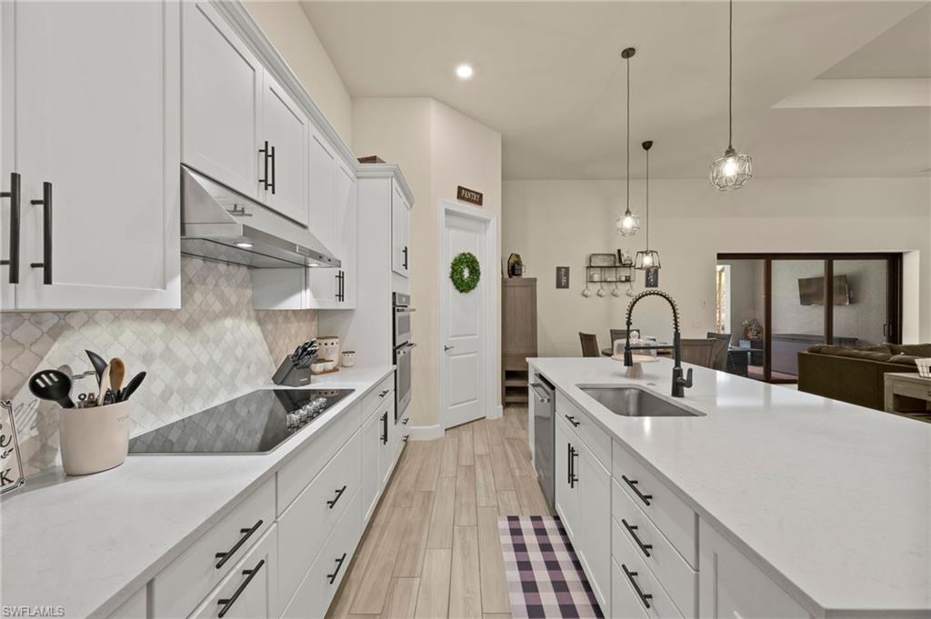 CORKSCREW SHORES - Residential