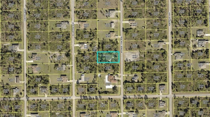 Beautiful 1/2 acre lot, great location, perfect to build your dream home. Only 35 mins to the SW Florida International Airport.