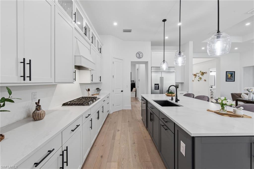 CORKSCREW ESTATES - Residential