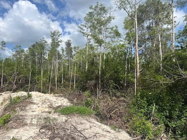 BONITA SPRINGS - Land