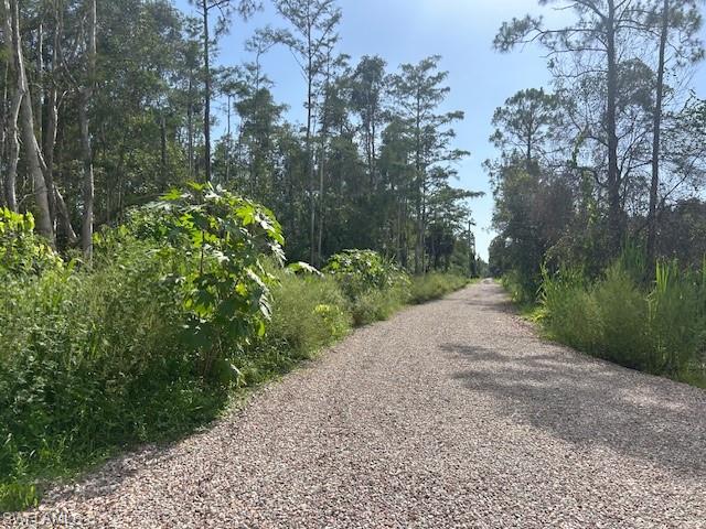 BONITA SPRINGS - Land