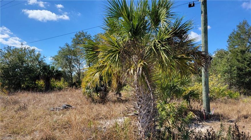 Oversized residential lot, almost 1/2 acre. Lee County says .4842 acres. This lot is most likely large enough to build a house with a large garage or a storage building. This is corner lot basically with water drainage swell to the left and western exposure. Area is growing with new construction nearby. Stop by and take a look at this opportunity!