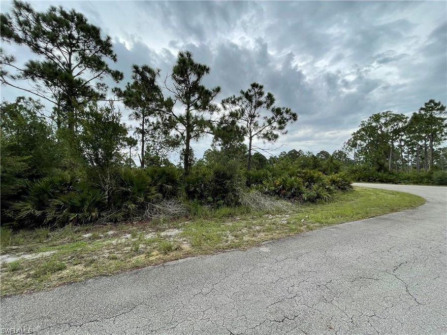 Do you enjoy privacy and tranquility? If your answer is yes then search no more! This lot is perfect to built your dream home in the beautiful area of Fort Myers and SR 82. Right in the middle of everything; within a few minutes from Immokalee, Fort Myers Airport and Daniels Pkwy. It's priced to sell fast so don't miss out on this opportunity on becoming an owner of this beautiful lot.