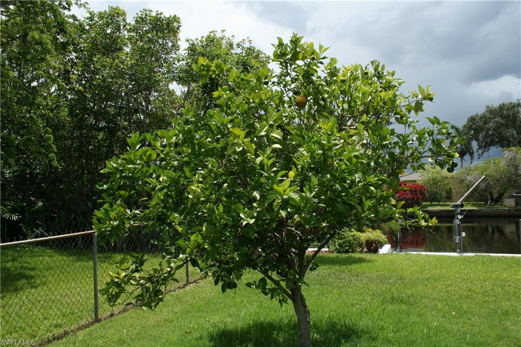 MORSE SHORES - Residential