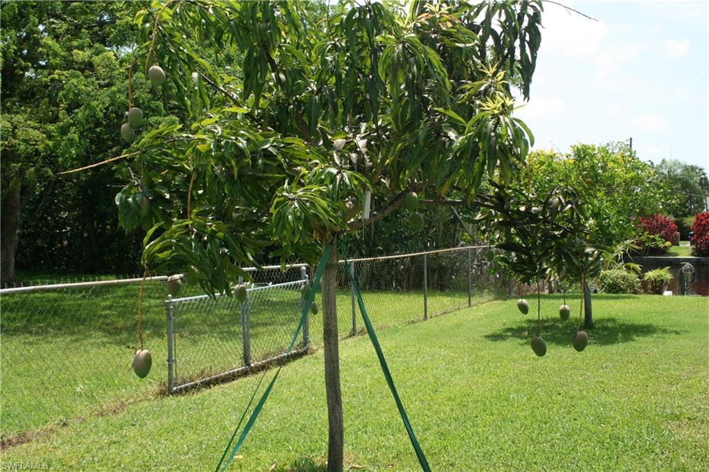 MORSE SHORES - Residential