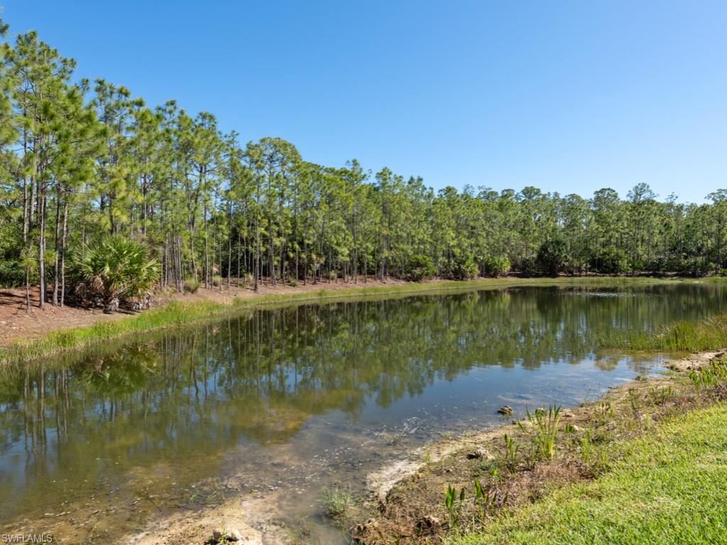 LAKE FOREST AT SHADOW WOOD - Residential
