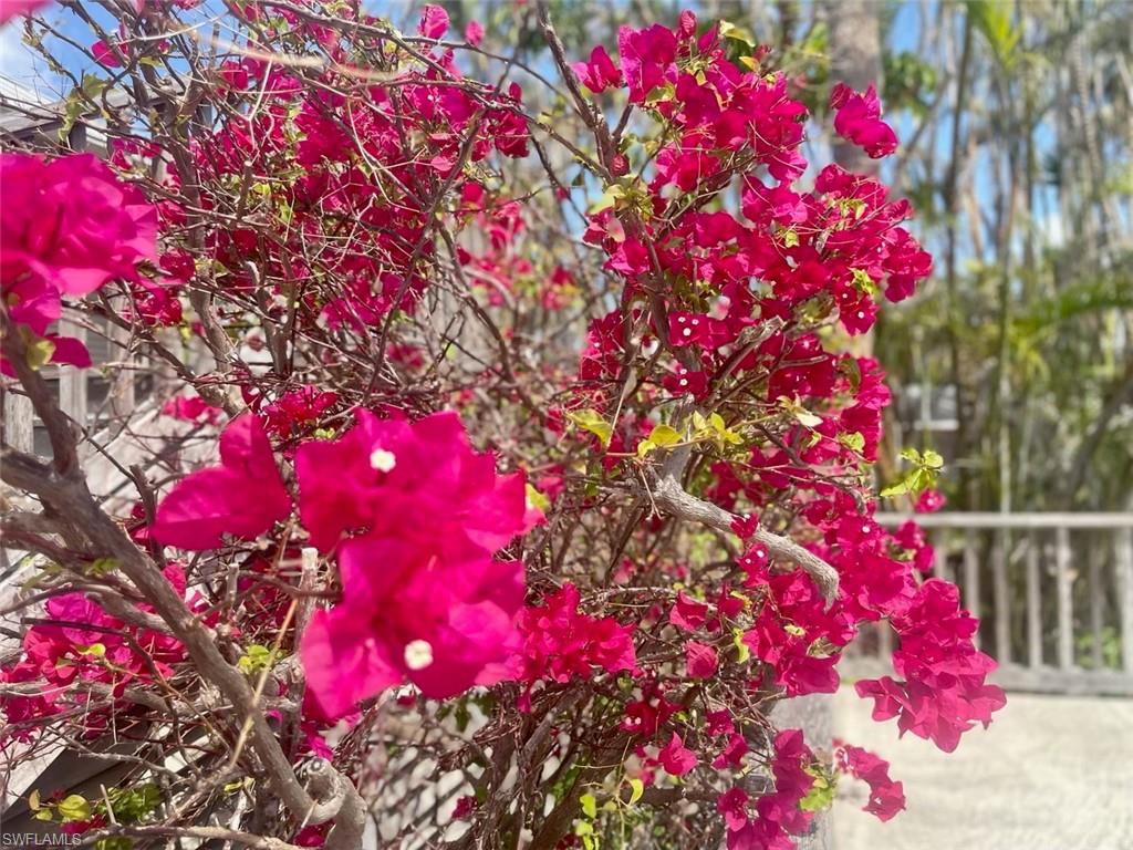 TICHENORS F H SILVER KING - Residential