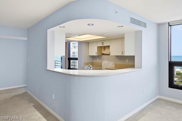 TERRACES AT PARK SHORE - Residential