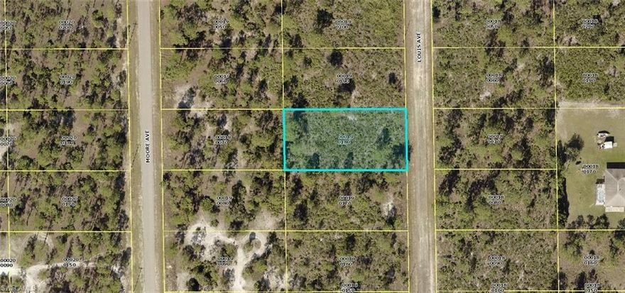 Huge half acre parcel located east of Joel but close to Leeland Heights Blvd. Direct access to either State Road 80 or State Road 82 for a quick trip to Interstate 75. Buy now and build your dream home on this huge half acre parcel, or hold for future investment. Taxes are LOW and there are no time restrictions on building, build when YOU'RE ready!