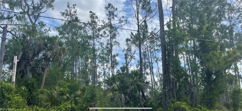 GOLDEN GATE ESTATES - Land