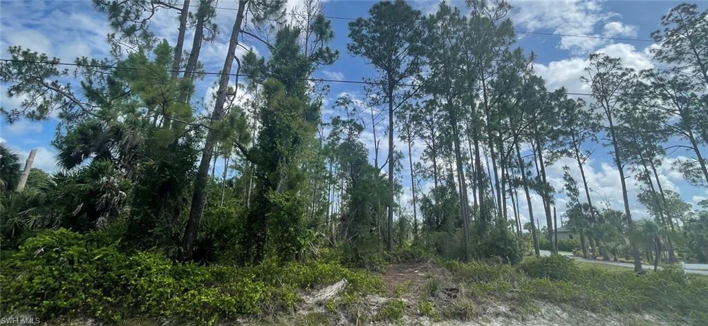 GOLDEN GATE ESTATES - Land