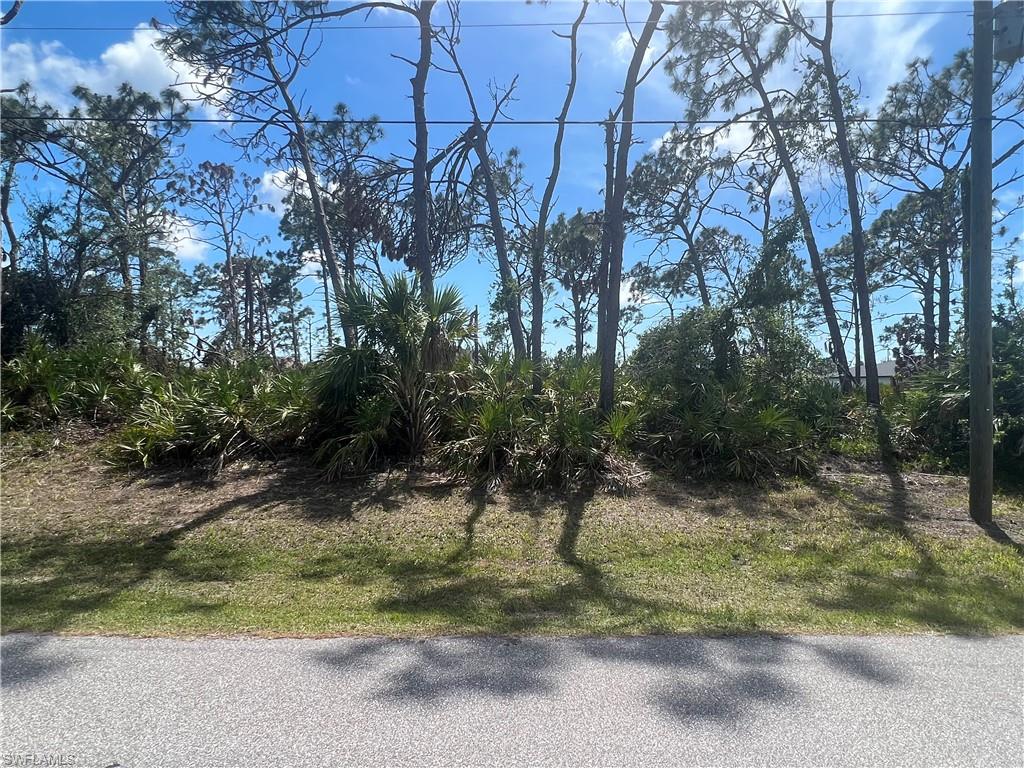 ROTONDA LAKES - Land