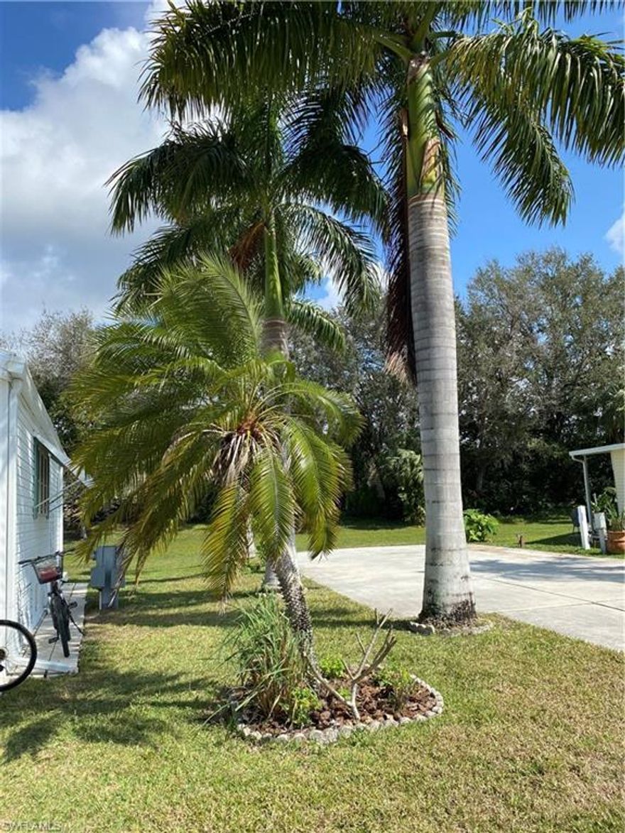 Just imagine yourself watching a gorgeous SW Florida sunset while sitting outside of your fifth wheel or travel trailer. This is a beautiful, spacious lot has huge palm trees and a large green space behind it.  Located in Imperial Wilderness, a 55 plus, gated community where you own the land. This community is a vibrant with many activities despite covid.  The residents enjoy dances outside on the pool patio.  They enjoy dancing and listening to great music while social distancing.  They enjoy tennis, shuffleboard, horseshoes, pickleball, petanque, and many other activities.  Located just 3 miles from Walmart and Publix, 2.5 from Walgreens and CVS, 8 miles to Marco Island and 12 to beautiful downtown Naples.  Come on down and join us in paradise.