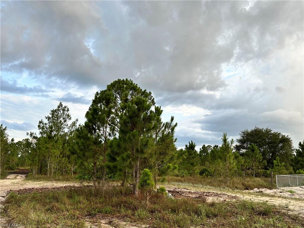 TIMBER TRAILS - Land