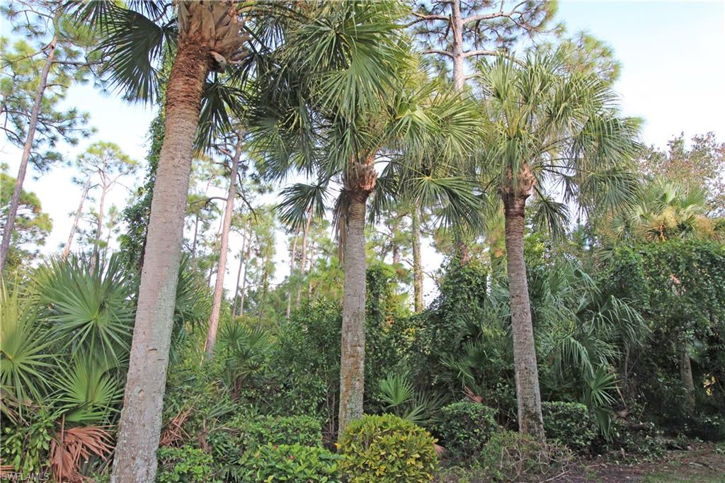 CYPRESS WALK - Residential