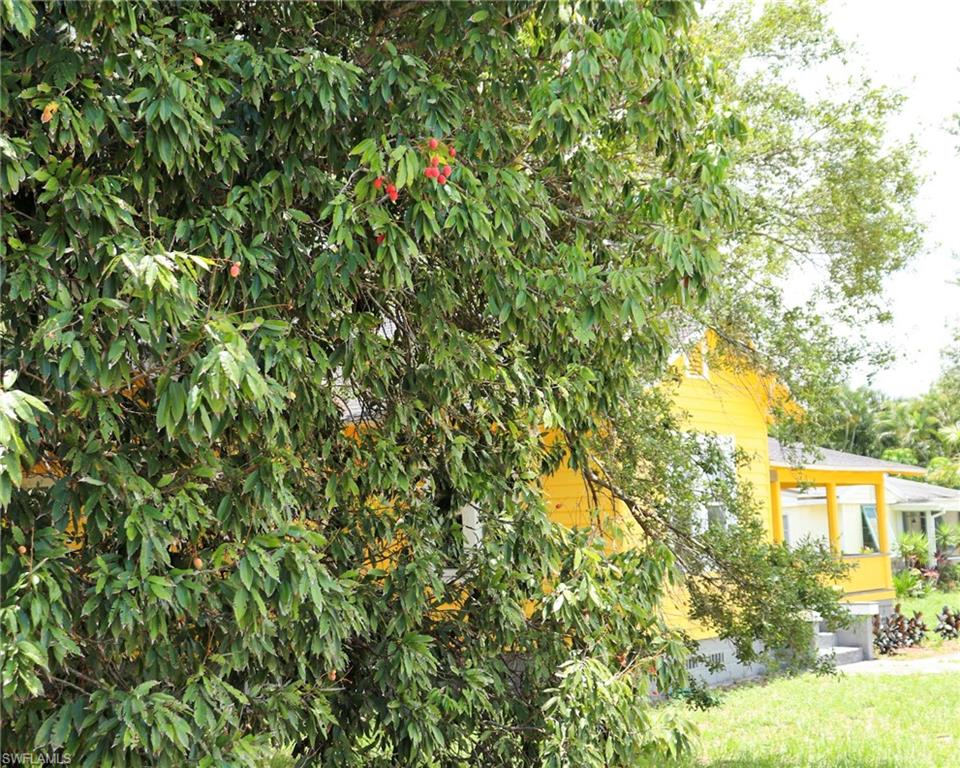 EDGEWOOD SUBD - Residential