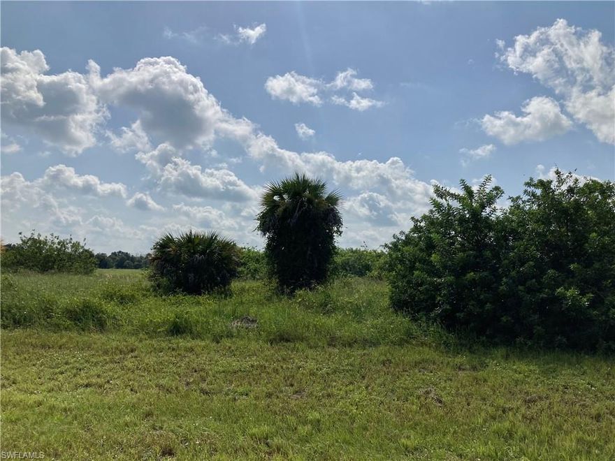 This Port LaBelle homesite might just be the perfect one on which to build your dream home. Not only is this parcel located in an area of newer homes serviced by central water, but it also backs up to a greenspace ensuring no one builds directly behind your new home. This homesite is located within minutes of the community's Schools, Shopping, Banking, and the LaBelle Airport. Check this one out! Call today before it's gone!