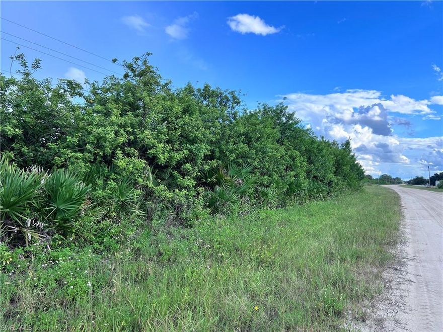 Build your dream home in the tranquility of the countryside! This 1-acre parcel is nestled in the desirable Muse community, known for its serene, rural atmosphere and friendly neighbors. Located within the sought-after West Glades School District, this property offers the perfect blend of privacy and convenience. Enjoy easy access to shopping, dining, parks, and boating adventures on the Caloosahatchee River, all just a short drive away. Commuters will love the convenient proximity to LaBelle, Alva, and Fort Myers.
This lot will require well and septic for development, and electric is nearby, making it easier to get started on your home plans. Whether you’re seeking a peaceful place to settle down or a weekend retreat in nature, this property is full of potential. Don’t miss this opportunity to invest in an up-and-coming area with room to grow!