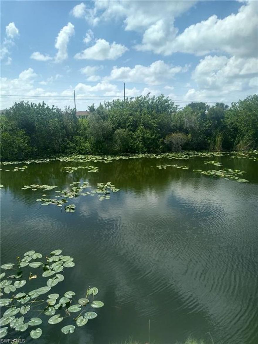 Nice waterfront lot close to shopping, in an area of newer homes. Has city water and sewer.