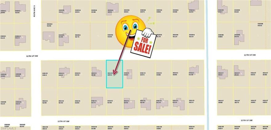 THE SELLER HAS SEVERAL LOTS AVAILABLE IN SEVERAL LOCATION THROUGH OUT LEHIGH ACRES. LIST AVAILABLE  UPON  REQUEST. BUYER TO PAY FOR TITLE WORK