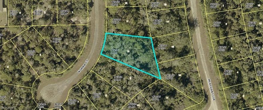 GREAT LOT IN LEHIGH ACRES, CALL TODAY!