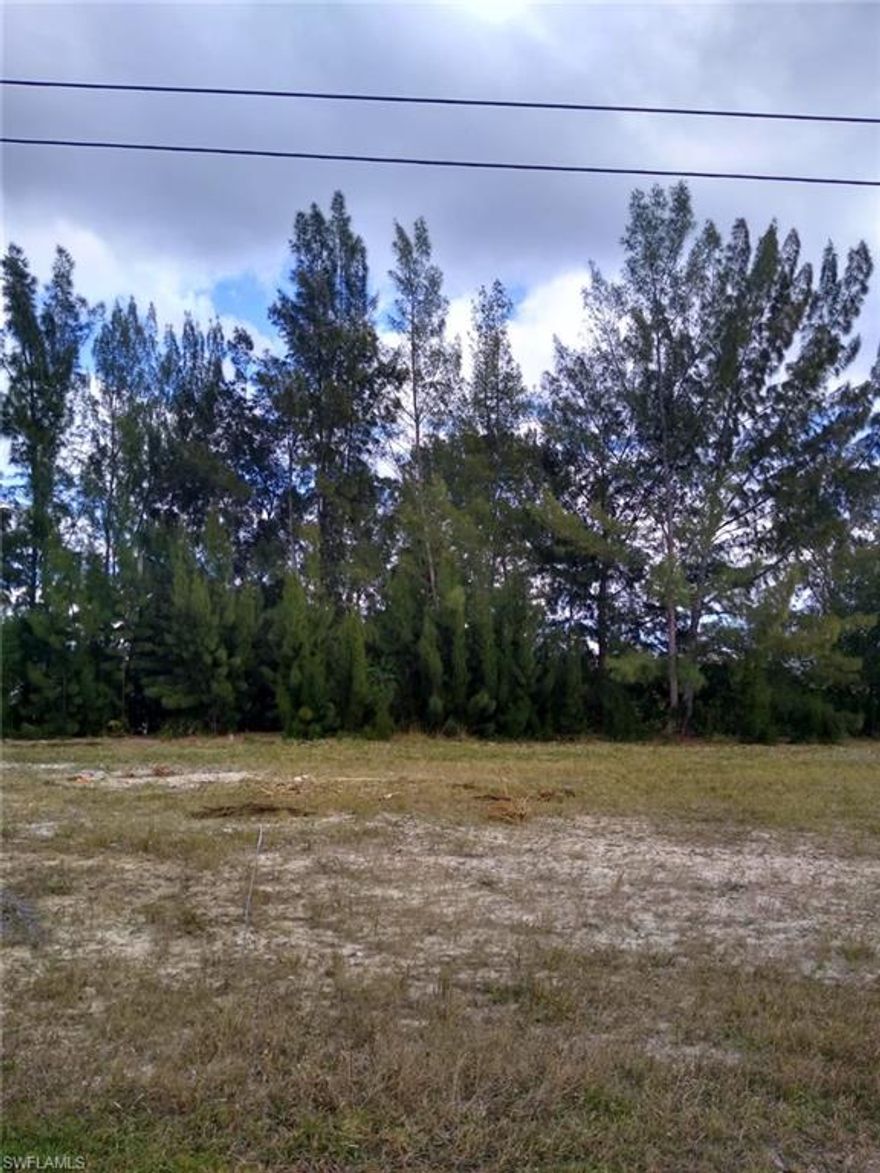 Area of new homes, basin water view. Nice lot in developed area of SW Cape.