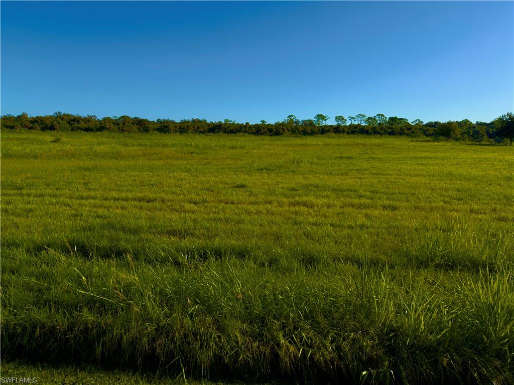 CALOOSA PRESERVE - Land