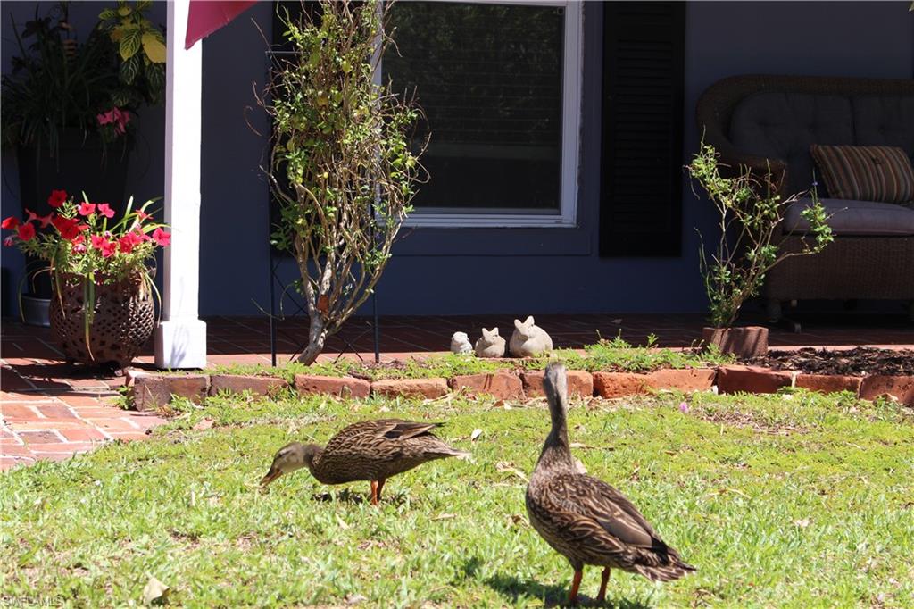 PALMLEE PARK - Residential