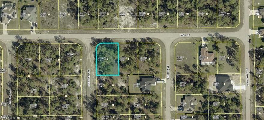 Beautiful corner lot.  Build your dream home here.  Oversized lot with easy access to SR82.  Just a short drive to Fort Myers Airport, baseball parks, hockey rink, shopping, restaurants, schools, churches and our beautiful beaches.  Come enjoy all sunny SW Florida has to offer.