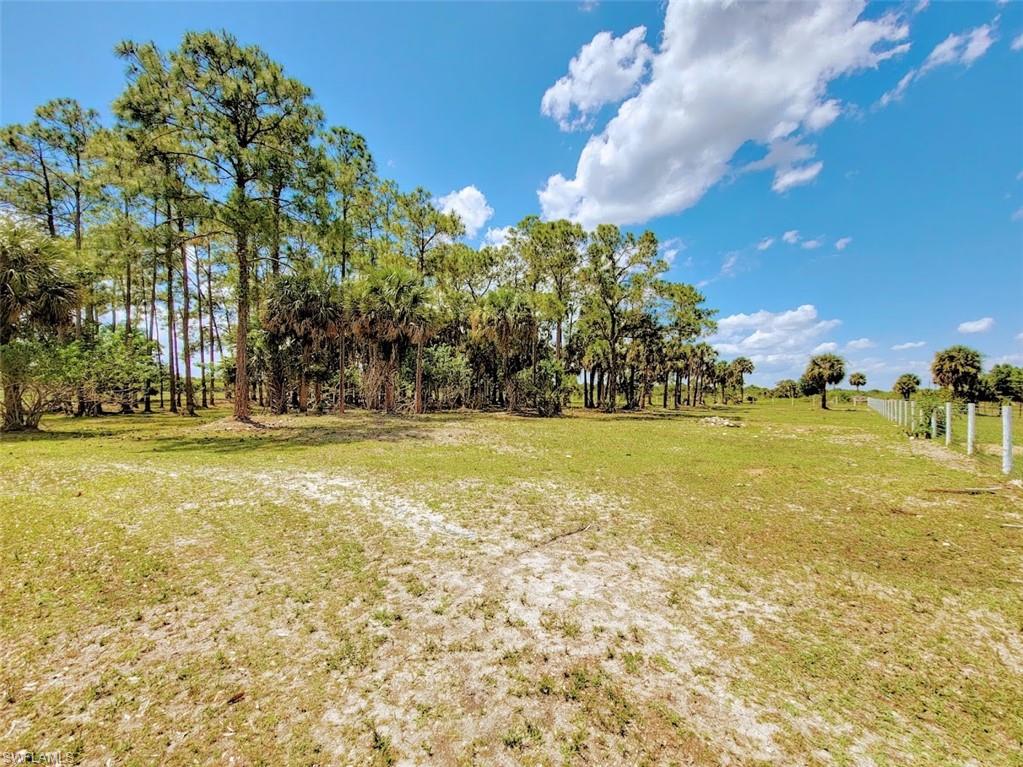 PIONEER PLANTATION - Residential