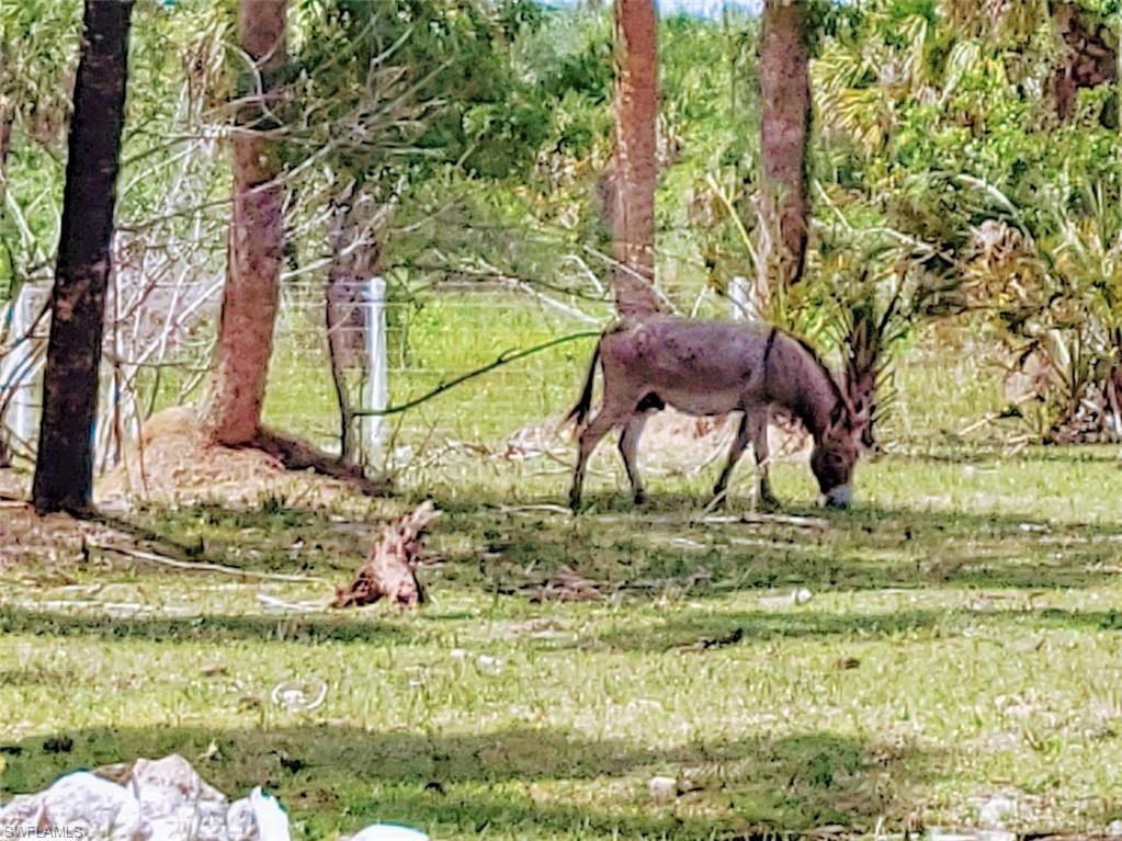 PIONEER PLANTATION - Residential