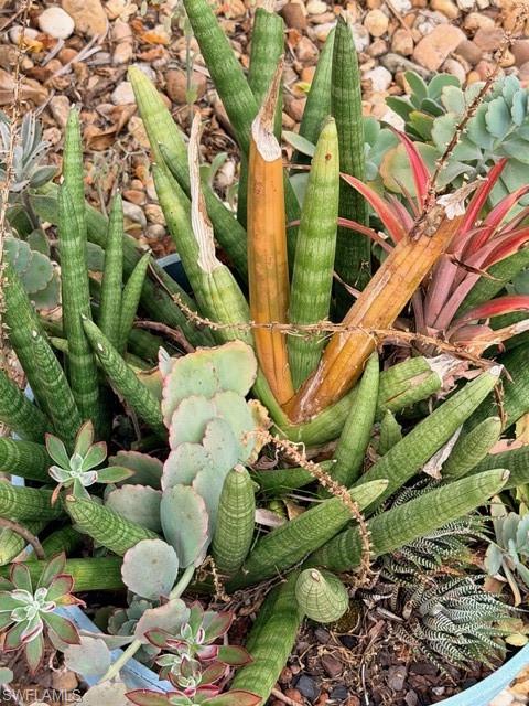 CYPRESS TRAIL RV RESORT - Land