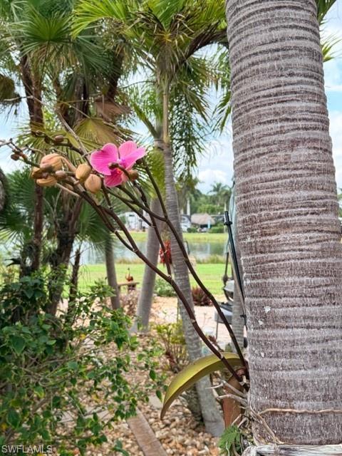 CYPRESS TRAIL RV RESORT - Land