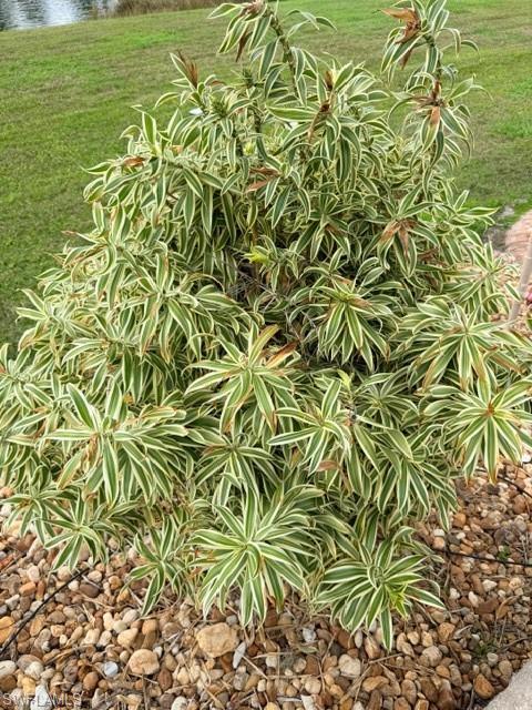 CYPRESS TRAIL RV RESORT - Land