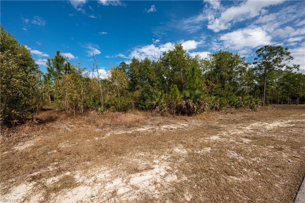 GOLDEN GATE ESTATES - Land