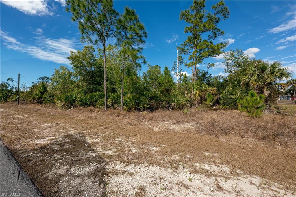 GOLDEN GATE ESTATES - Land