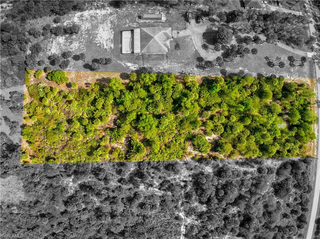 GOLDEN GATE ESTATES - Land