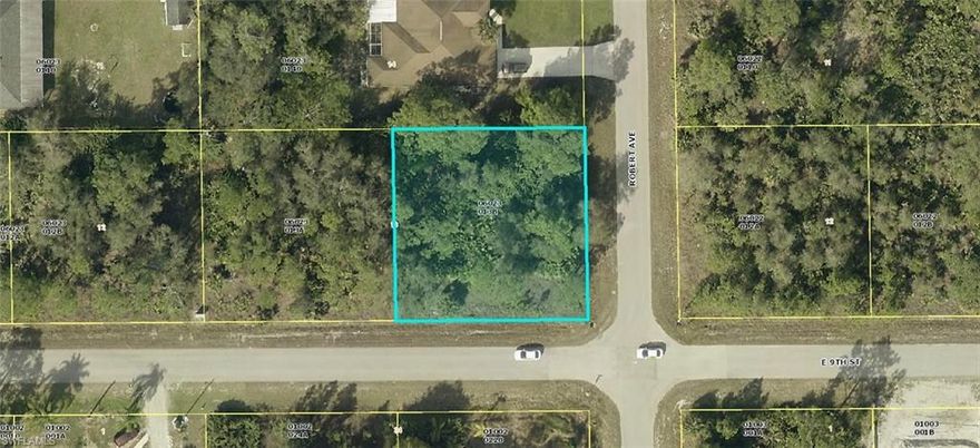 This vacant corner lot offers a fantastic opportunity to build your dream home or investment property. Enjoy the benefits of corner lot positioning with potential for multiple access points and increased visibility. Situated in a developing area of Lehigh Acres, this lot provides a blank canvas in a growing community. Don't miss out on this chance to secure your piece of Southwest Florida!