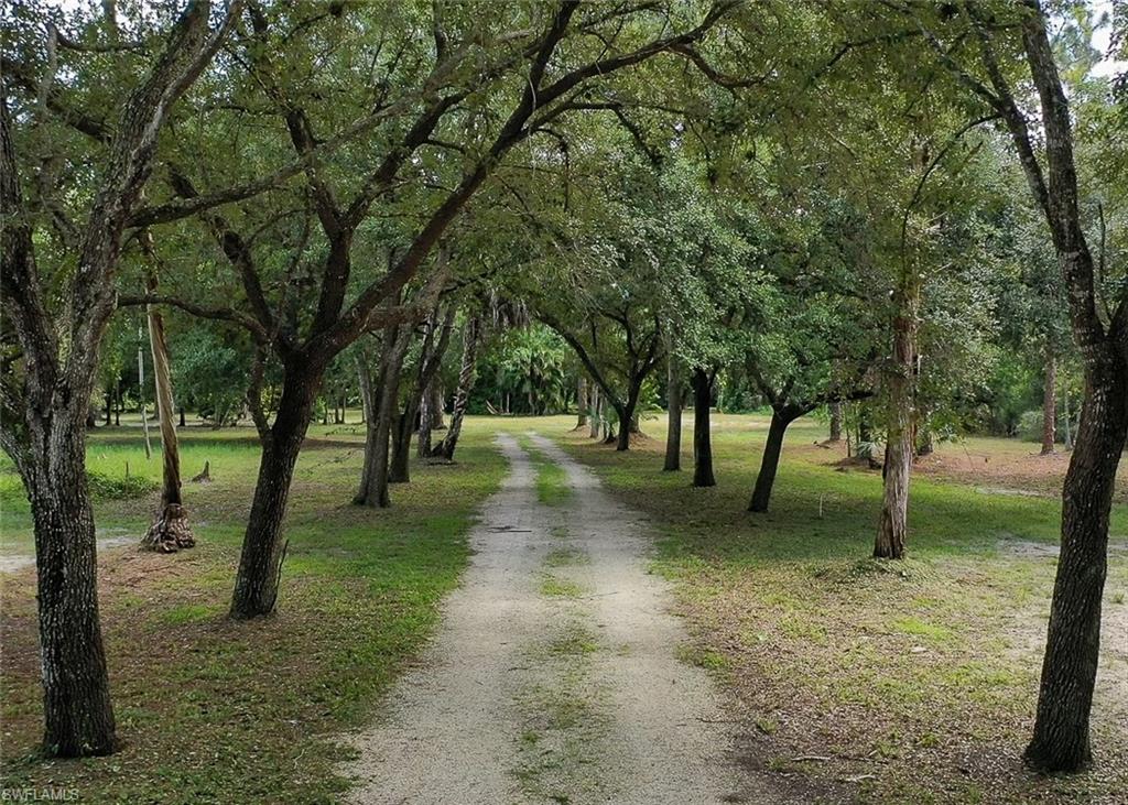 ACREAGE HEADER - Land