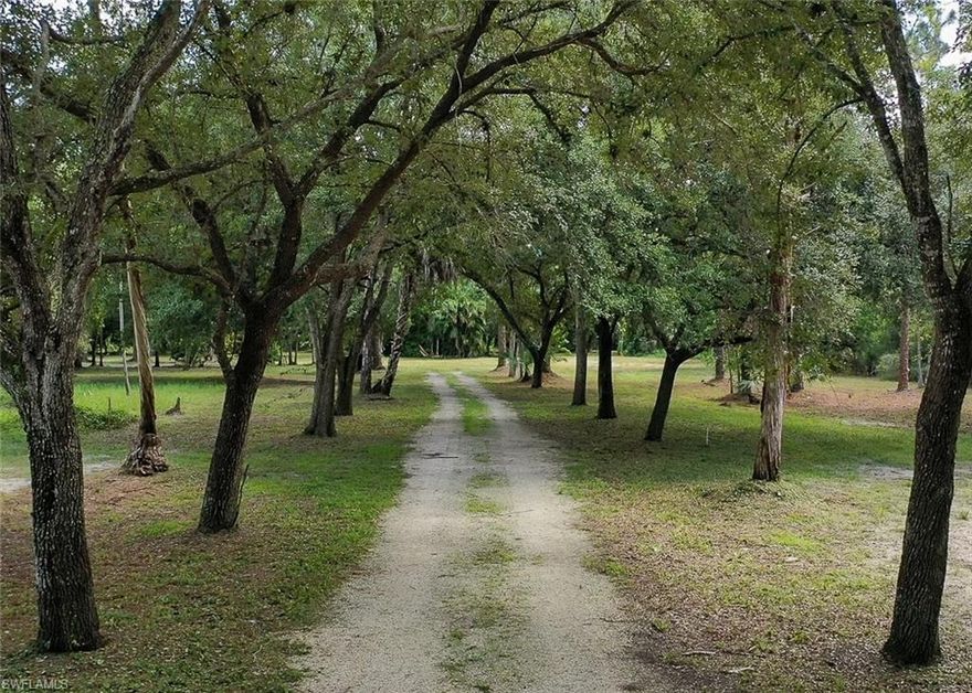 UPLANDS!! Majestic OAKS line the existing driveway and surround the property giving you that old Florida charm.  Mass producing Mango trees stretching 40’ tall, big pine trees, massive Laurel oaks, cedar trees and many different kinds of palms including Royals can also be seen.  Creating a landscape such as this would take over 45 years!  ...which is exactly how it came to be… This property once had a home built in 1974 on it, creating a perfectly cleared spot for a new home.  The house pad area provides over 200 feet of width for a sprawling estate.  So take advantage of HUGE savings for a driveway and major land clearing… possible savings in the $30K range as compared to raw land.   This property is zoned for Naples High School and is only a few minutes from downtown Naples and beaches... so close to everything.  The 2.3 acres next door will soon be for sale with an existing 2/1 perfectly remodeled house... could be a great guest house!  I can pretty much guarantee that this will be the most beautiful property you will see in your search.  The white chain on the property is to help the buyer see the approximate lot lines and will be removed prior to closing.  Thanks!