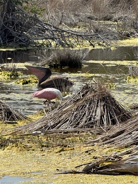 BELLE MEADE - Residential