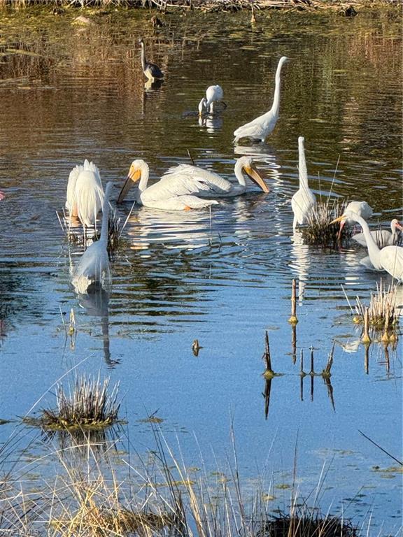 BELLE MEADE - Residential