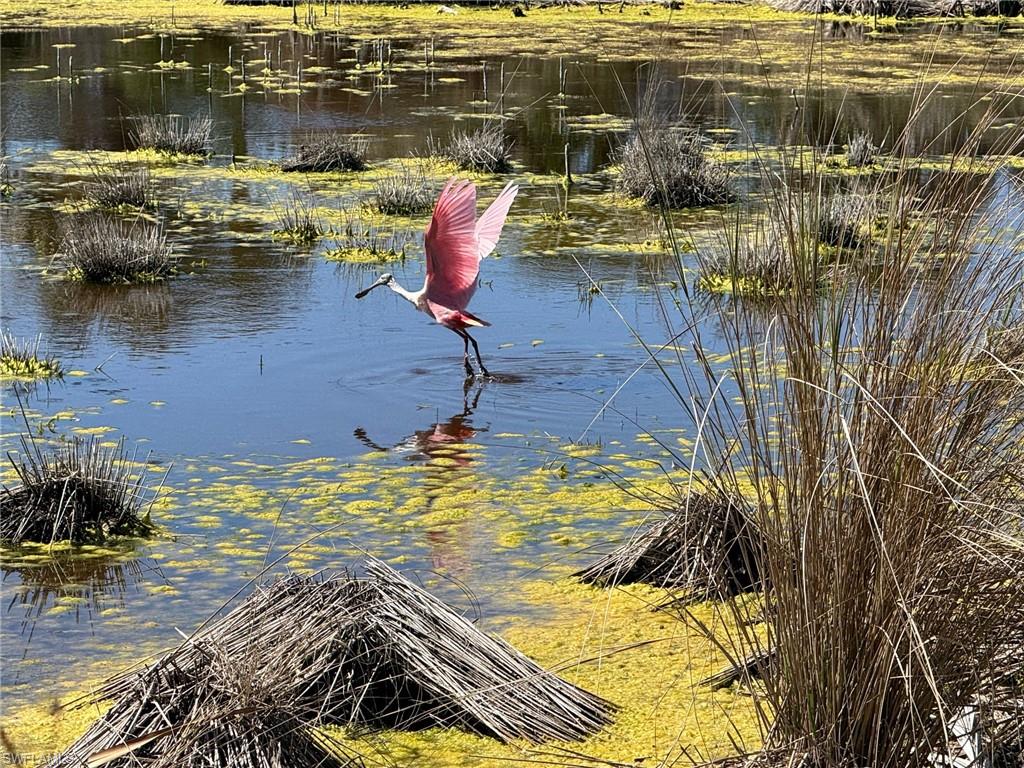 BELLE MEADE - Residential