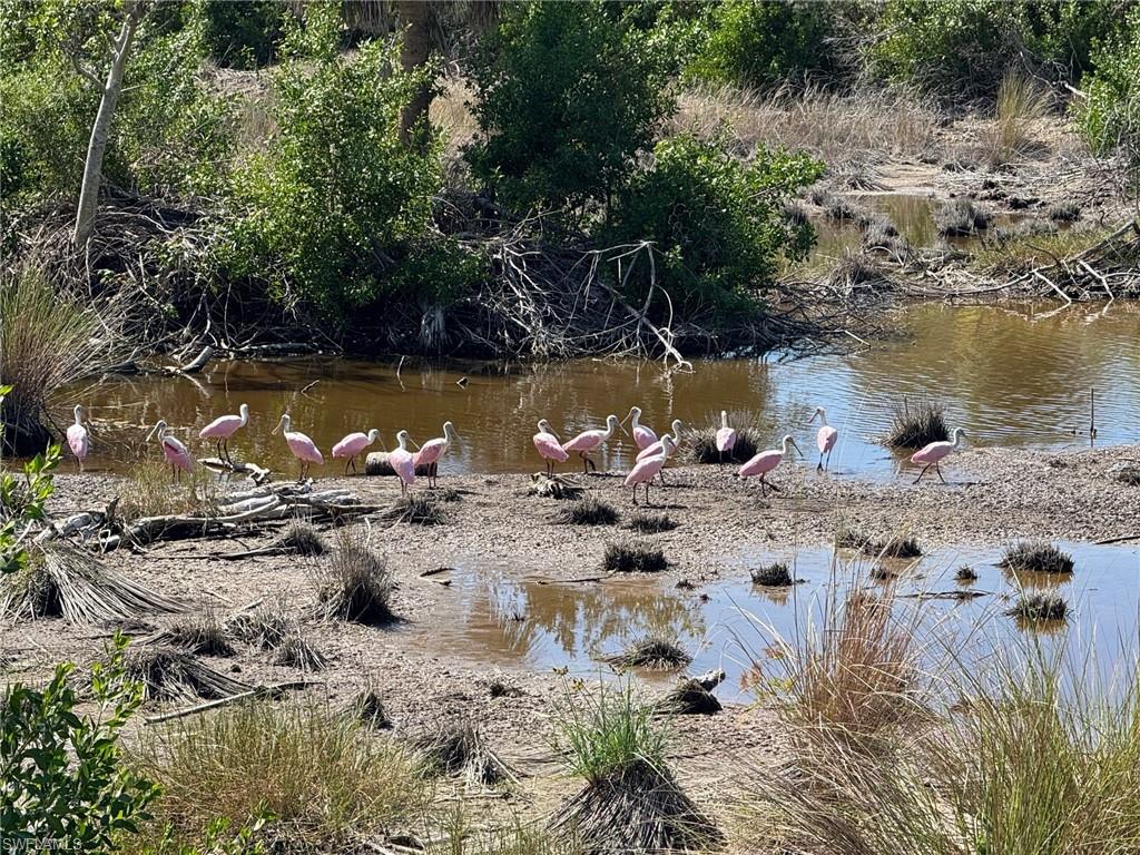BELLE MEADE - Residential
