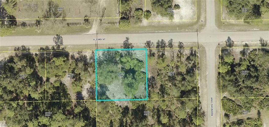Beautiful oversized .25 acre lot in the highly desirable area of Alva. Located just east of Joel Blvd.  Surrounding Homes and lush vegetation in this great area. Electric available. Homesite is on a paved road, which is a huge plus. Close proximity to I-75, Immokalee, shopping, restaurants, airport and so much more. Beautiful site for your new home or to purchase as an investment. Prices are climbing so grab it now!