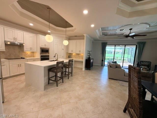 28517 WESTMEATH CT