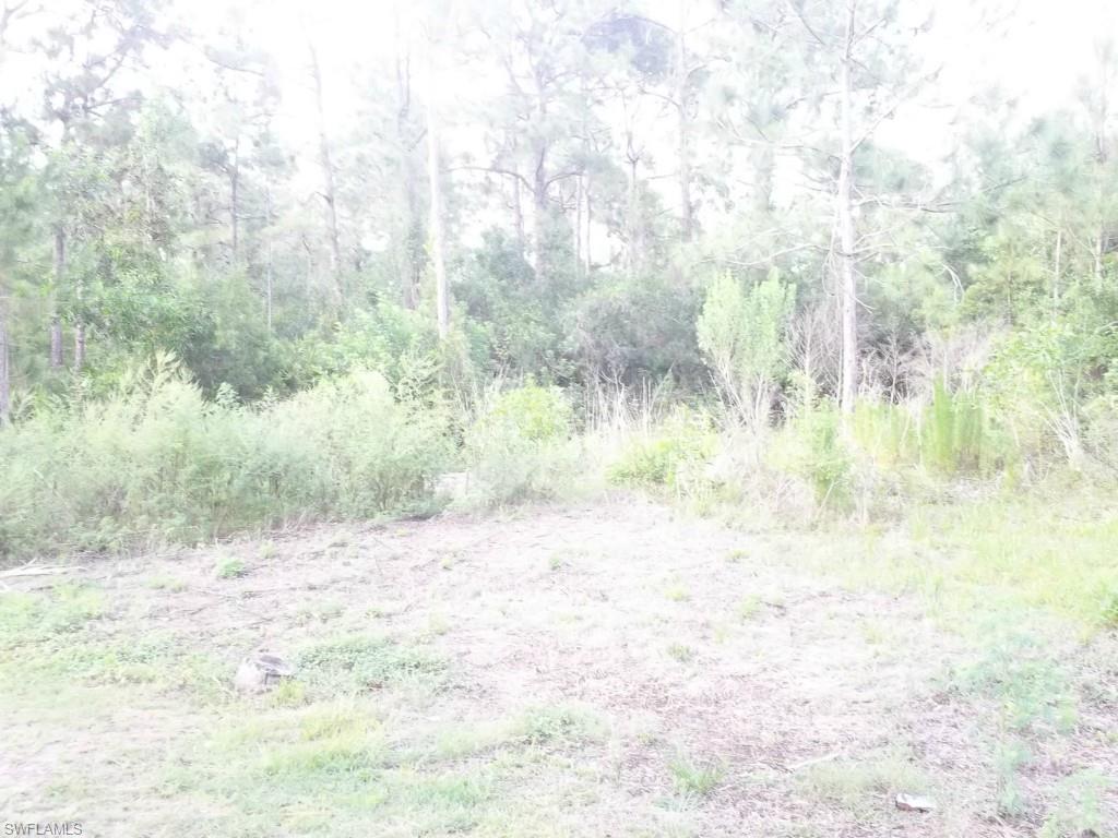 PUNTA GORDA - Residential