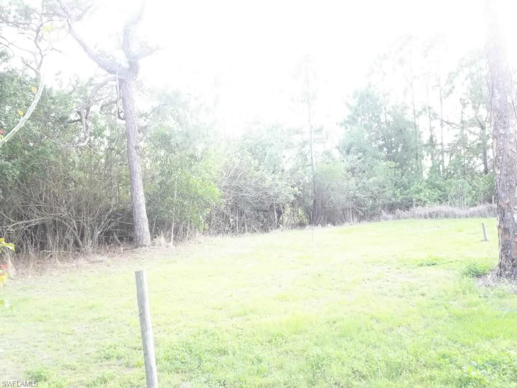 PUNTA GORDA - Residential